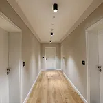 Nani Nani Boutique Brasov